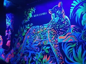 WhatsApp Image 2021-07-08 at 19.27.01